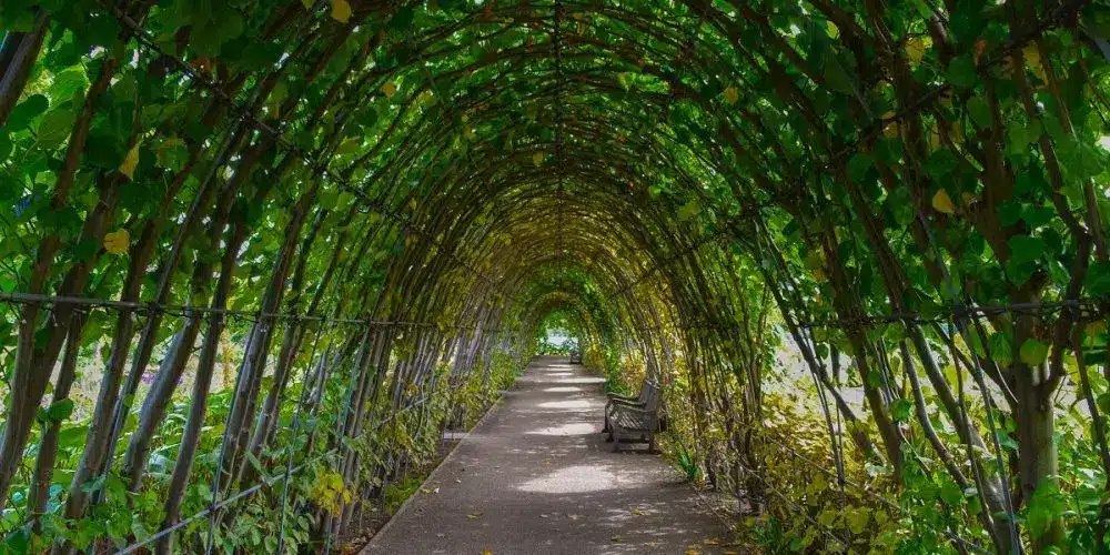 management conference