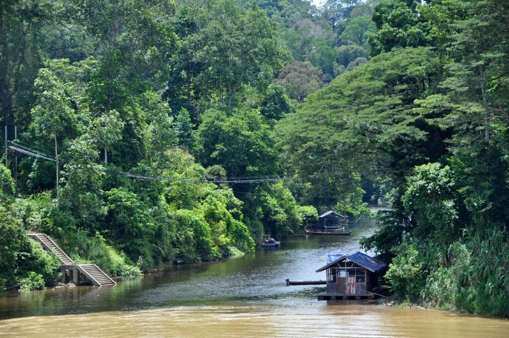 management conference